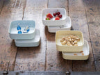 【tak./タック】フルーツナッツ ライトイエロー食器セット